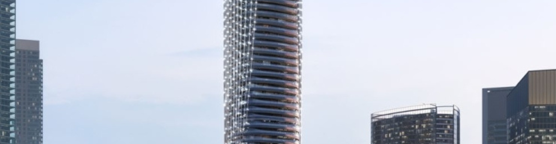 D&B image