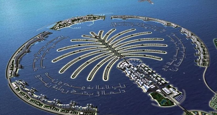 D&B image