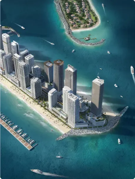 D&B image