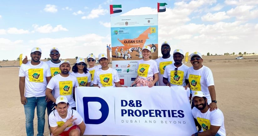 D&B image