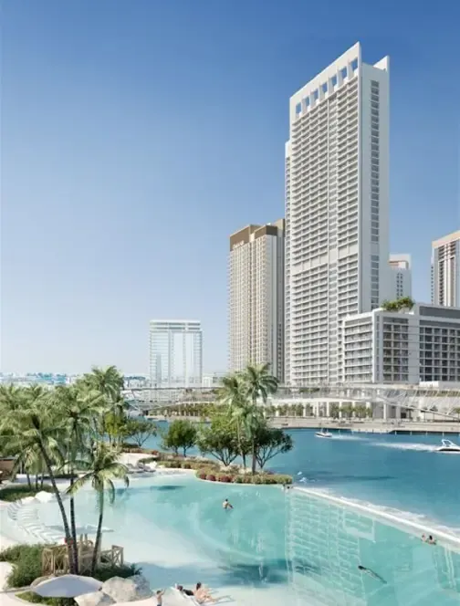 D&B image