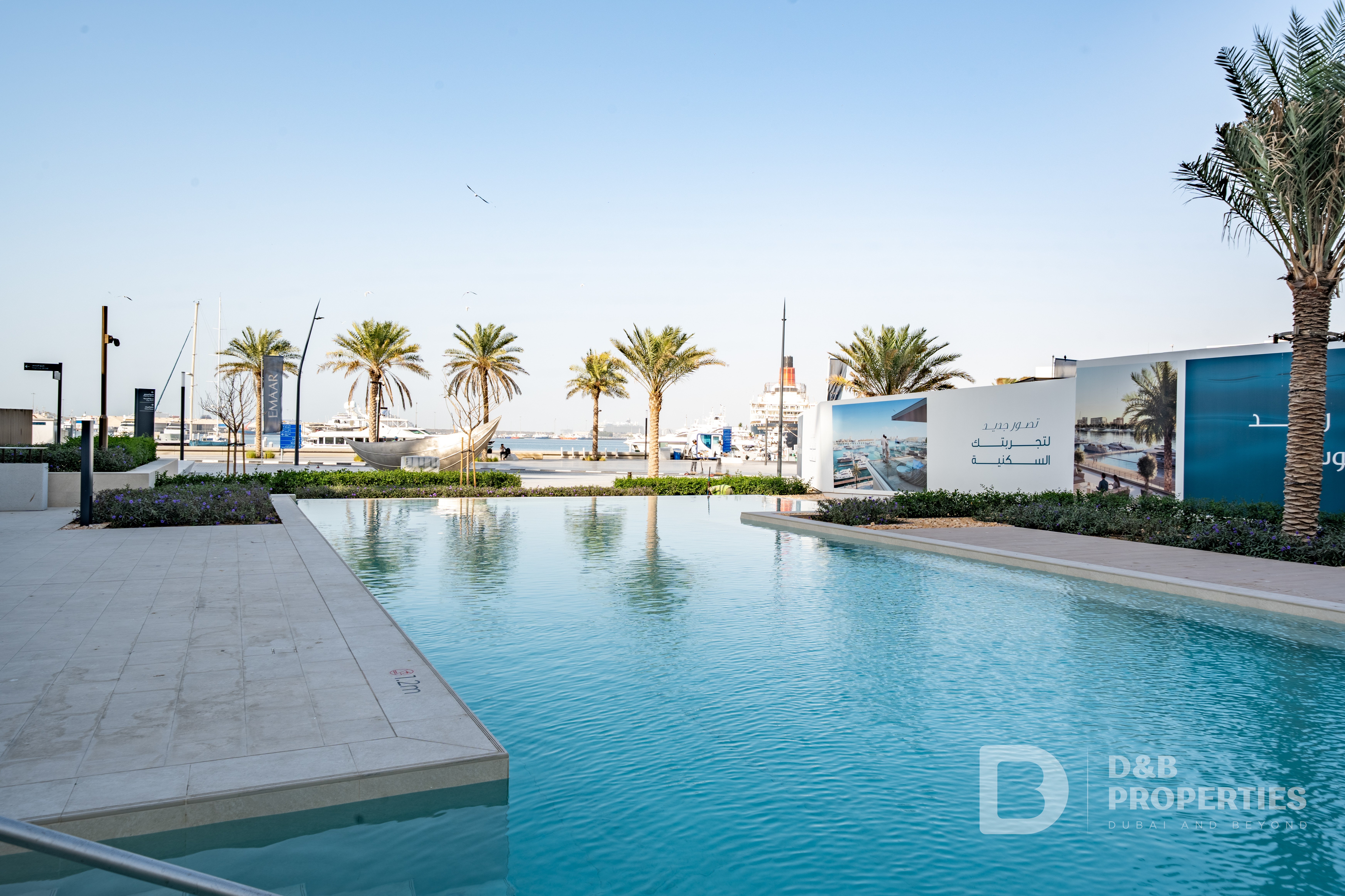 Open Sea View | Maid | Vacant | Biggest Terrace