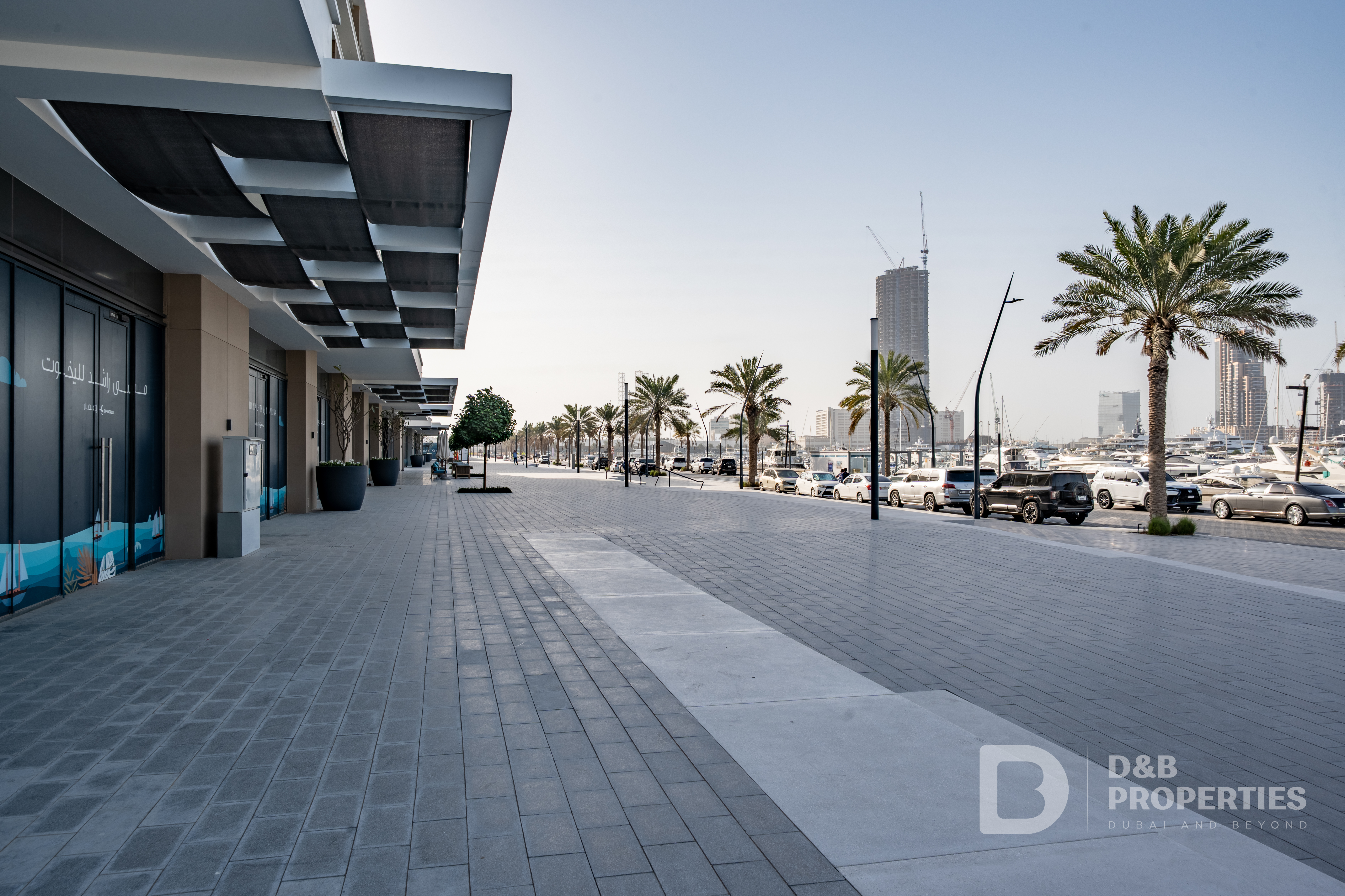 Open Sea View | Maid | Vacant | Biggest Terrace