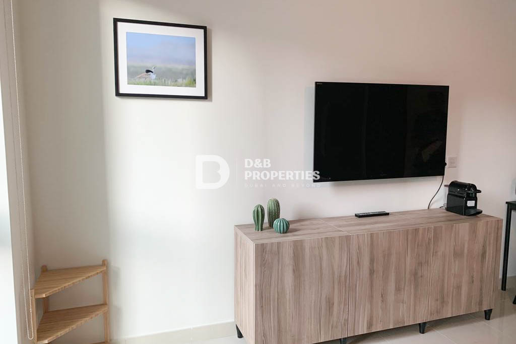 READY TO MOVE | FURNISHED | LOWER FLOOR