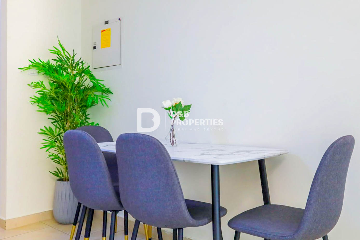 Upgraded Studio | Fully Furnished | Vacant