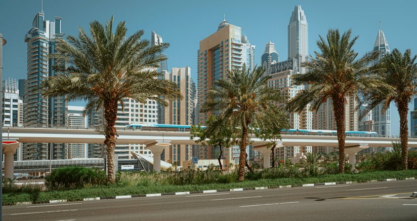 D&B image